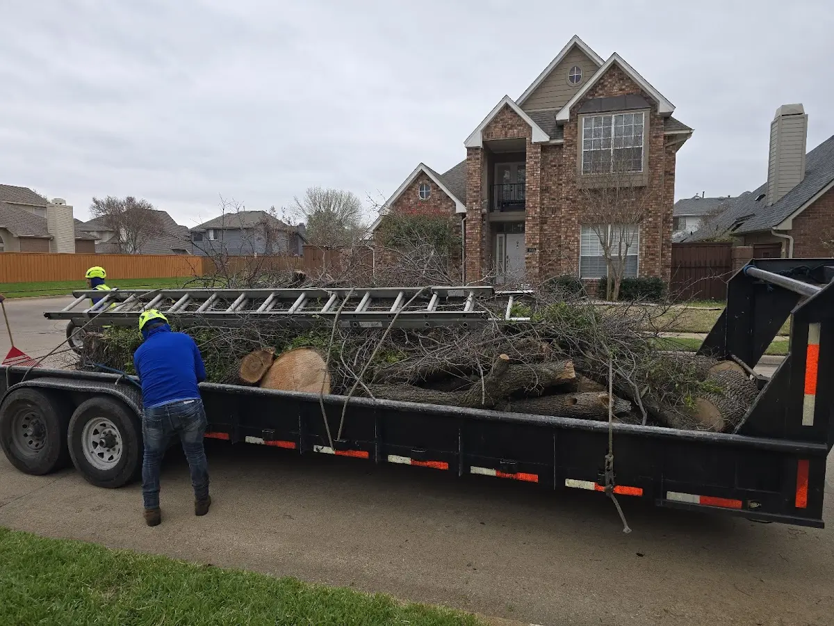 Expert Crown Reduction with proper safety equipment in East Branch